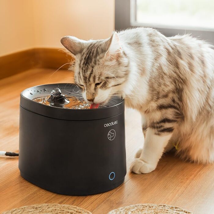 Автоматичний годівниця для домашніх тварин Cecotec Pumba 1600 Purrfect Meal - 1.6 л, 4 відділення, LED, таймер, запис голосу + фонтанчик для води 2.5 л