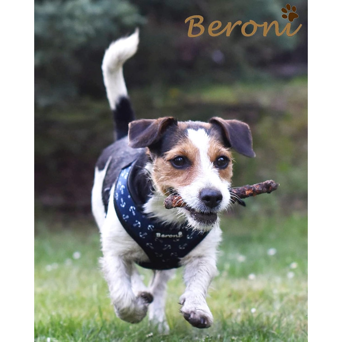 Шлейка для собак Softgeschirr, шлейка для грудей Anker Maritim, регульована, для відпочинку, літо (L (ОБ: 37-42см, Грудка: 47-63см)) (M)