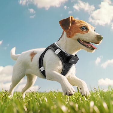 Світлодіодне обіднє намисто для собак PcEoTllar з LED підсвічуванням, перезаряджуване, світловідбиваюче, для дрібних та середніх собак, дихаюче, рожеве (3 режими) (S, чорний (9 режимів))