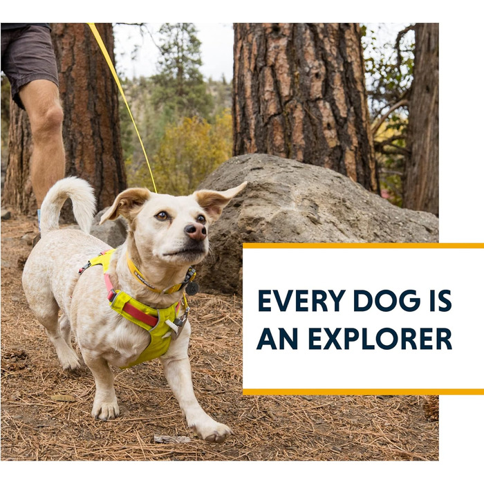 RUFFWEAR Dog Lead Hi & Light, Strong Lead with integrated storage pouch and secure Crux-Clip closure, compactly foldable to pocket size, (Salmon Pink)