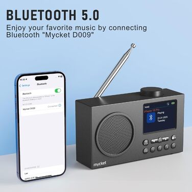 Портативне DAB/DAB+ радіо з цифровим радіо UKW, FM, Bluetooth 5.0, двома будильниками, 40 попередніх станцій та 2.4
