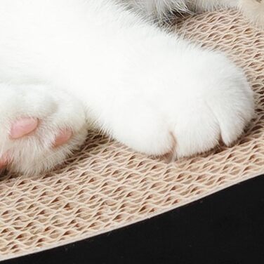 Кігтеточка Likea Ultimate з ліжком та лаунжем, чорна