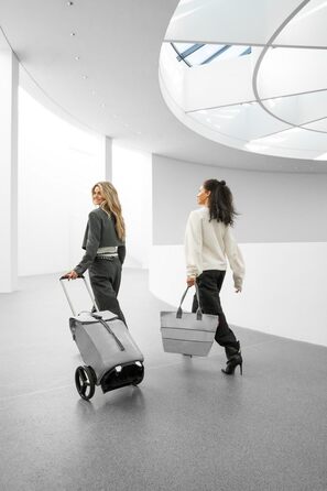 Тролей для покупок Reisenthel Citycruiser MJ, сірий рифлений (Herringbone Grey)