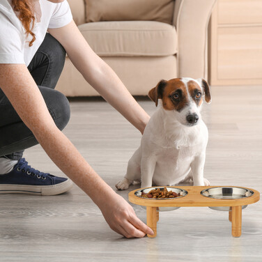Relaxdays Dog Feeding Bar with 2 Bowls