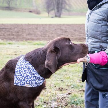 Pettsie Dog Collar with Bandana Cloth and Friendship Bracelet, Adjustable Sizes S, M, and L, Strong and Durable, Great Gift for Dog Lovers in Attractive Packaging, M, Pink (L (18.0 - 26.0 inches), Dark Blue)