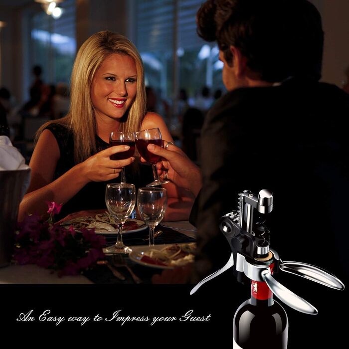 Corkscrew Wine Gift Set, Premium Wine Opener Set with Foil Cutter, Wine Pourer, Vacuum Wine Stopper, for All Types of Corks, Gift for Men and Women