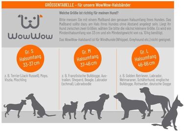 WowWow Professional Dog Collar with Leash - Khaki - Size M 37-46 cm, 195g light, innovative collar with integrated leash - known from 'The Lion's Den'
