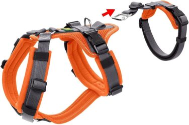 Нашийник для собак Maldon, розмір S-M, оранжево-сірий