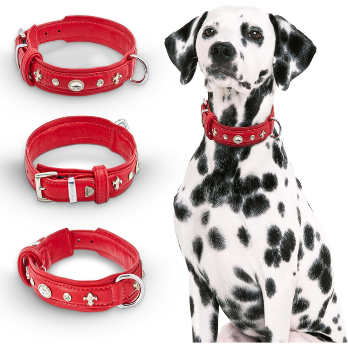 Julieta Leine, Leather Dog Leash, Leather Lead Dog, MATCHES Julieta Collar, Red, Leather, with Lilies, Rhinestones, and a Large Crystal (Neck circumference 52-58cm)