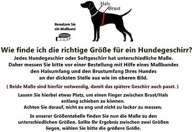 Шлейка для собак Softgeschirr, морська тематика, регульована, розмір L (37-42см, 47-63см)