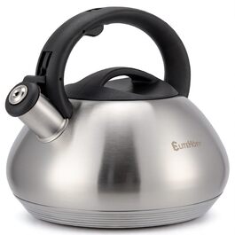 Електричний чайник EliteHoff 3L з нержавіючої сталі з автоматичним свистком, срібного кольору, для індукційних плит (E-5114)