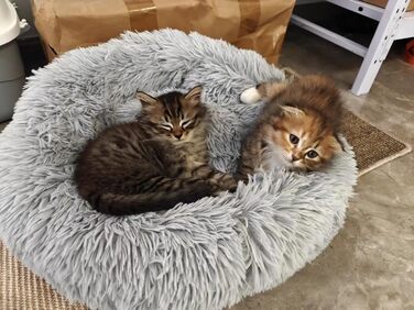 Кругле ліжко для котів, 60 см, м'яке, для собак та котів, легко миється, сірий колір