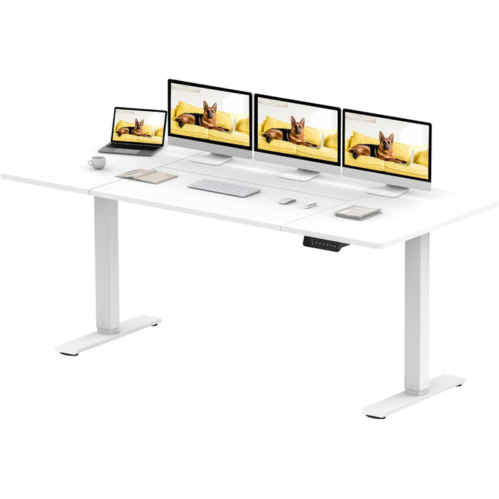 SANODESK Стол для роботи з регулюванням висоти 200x80 см з 2 моторами, стабільний електричний стоячий стіл, регулювання висоти з функцією пам'яті (чорний+), (180 x 80 см, білий)