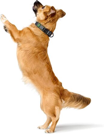 Нашийник для собак HUNTER Maldon, оливковий, розмір XL, дихаюча сітка, міцний нейлон, безшумний, гіпоалергенний, з функцією запобігання перетягування, з інтегрованою адрес-біркою, легкий