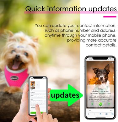 М'який нашийник для собак та котів ThinkPet з QR-кодом, світловідбиваючий, дихаючий, без застібок, блакитно-зелений (L, Рожевий)