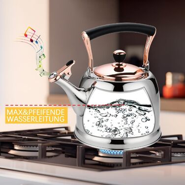 Нержавійна чавур для кемпінгу 3L з чайником, для плити та газової поверхні, зі свистком (Золотий)