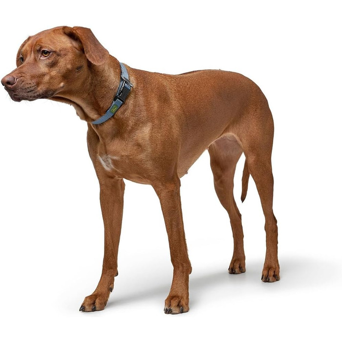 Нашийник для собак Hunter Vario Plus, міцний, гнучкий, з надійною застібкою, M-L/2.0, petrol