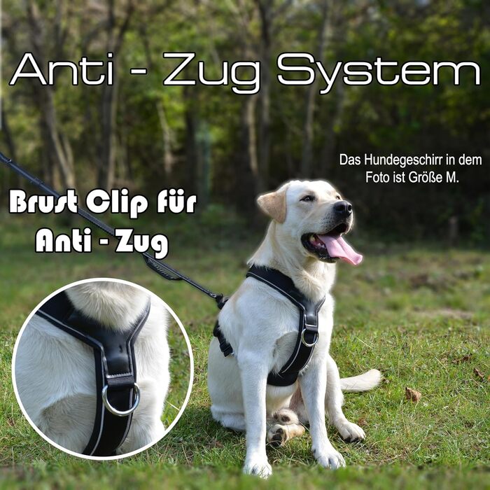 Нашийник для собак ILII Y - міцний, елегантний та комфортний. Унікальний дизайн для середніх та великих собак. Чорний, мінімальне покриття