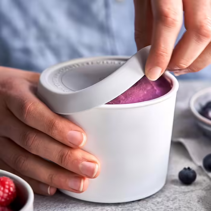 SPRINGLANE Ice Cream Container Set of 2, 500 ml, Stainless Steel, Ice Cream Container To Go, Freezer Container (Gray - Mini 4-piece set)