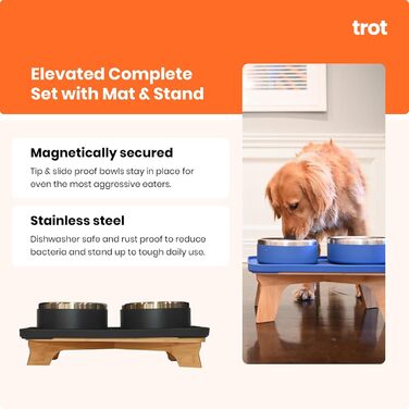 Нержавіюча миска для собак Trot Pets з підняттям, для малих, середніх та великих порід, протиковзна, довговічна, BPA-free, для корму та води (Шифер, маленька)
