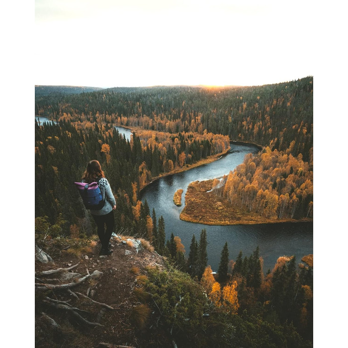 Жіночий рюкзак Ela Mo Rolltop: антикрадійний, для ноутбука, школа, університет, бізнес (Berry)