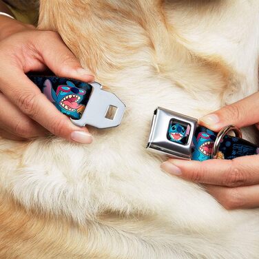 Нашийник для собак Buckle-Down з пряжкою - чорний/синій, 1 дюйм, для шиї 38-66 см - великий