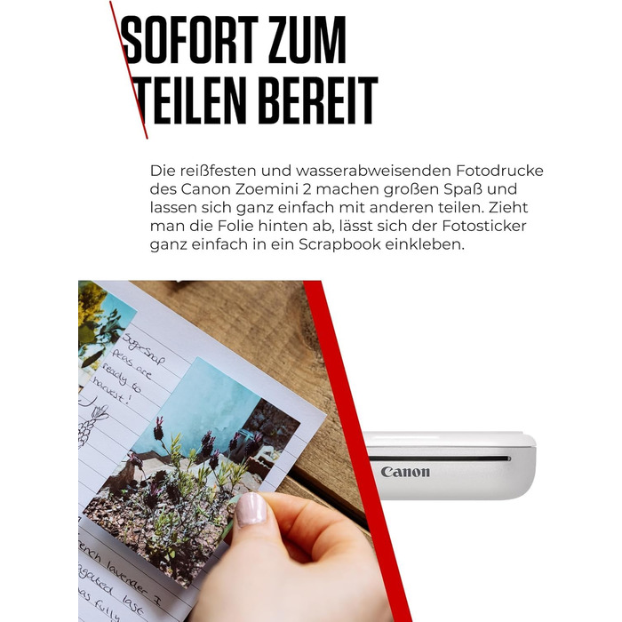 Canon Zoemini 2: Портативний фотодрук, Bluetooth 5.0, USB-C зарядка, Рожеве золото (Disney Limited Edition)