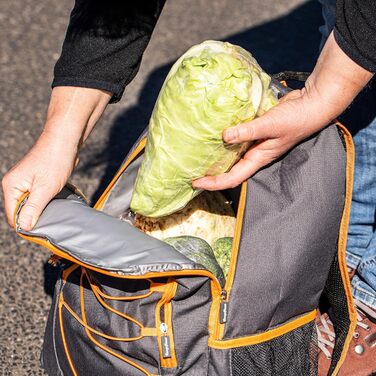 Рюкзак-холодильник CampFeuer 30 літрів: легкий, водонепроникний, для BBQ, кемпінгу, пляжу та активного відпочинку (сірий)