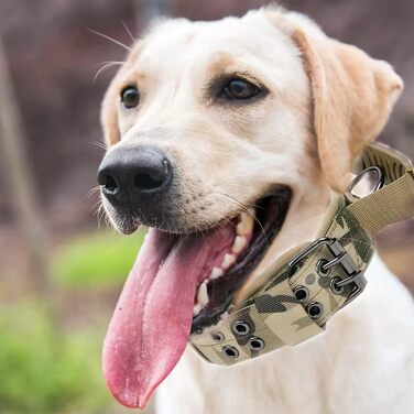 Персоналізоване тактичне нашийник для собак середніх та великих порід, нашийник з іменем та номером телефону (стиль B)