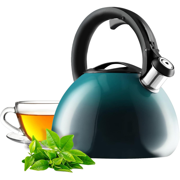 Чайник KADAX з нержавіючої сталі, 3л, з свистком, ретро-дизайн, блакитний