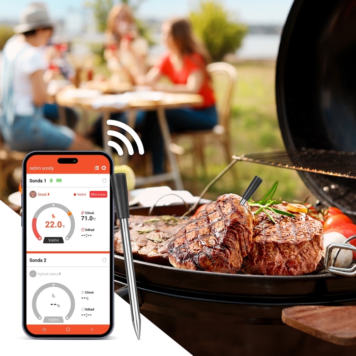 Бездротовий термозонд для гриля TESLA Cook BBQ200