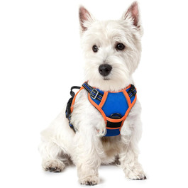 розмір: xs (1-й пакет)