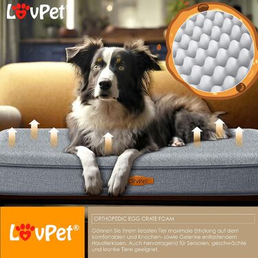 Lovpet® Orthopedic Dog Bed, Dog Cushion, Dog Basket Cookie, Incl. Bowl + 3X Chew Bones, Dog Sofa for Small, Medium & Large Dogs, Removable and Washable Cover, L 91x69x7.6 cm Anthracite
