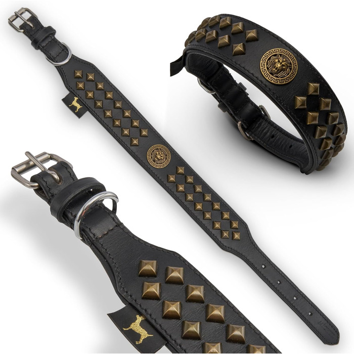 Нашийник для собак MICHUR Diego з натуральної шкіри, з декоративним левовим головою та заклепками, розмір 61-68,5 см