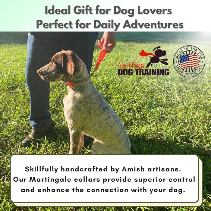 Нашийник для собак JI HODGES Artigale, біотана, нержавіюча сталь, проти потягування, професійна якість, Extra Large (Оранжевий/Західний (Sunset Chevron))