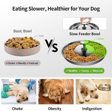 Набір мисок для цуценят та собак, 2 шт. з нержавіючої сталі, повільне годування, для маленьких собак, котів та тварин