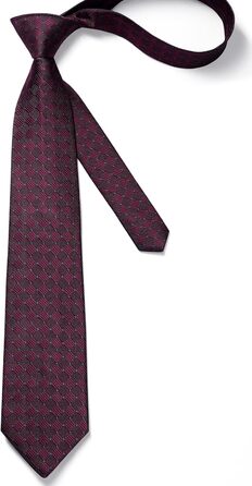 HISDERN Комплект краватки та нагрудного хустинки для чоловіків (бордовий та синій)