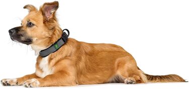 Нашийник для собак HUNTER Maldon, чорний, розмір M: дихаючий сітковий матеріал, міцний нейлон, безшумний, гіпоалергенний, з полегшенням натягу, інтегрована адресна бирка, легкий