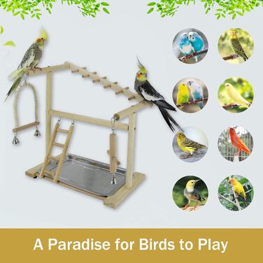 Bird Playground, budgie toys, bird stand, bird gym, bird accessories, playground, ladder, exercise pen with feeder cups, tray, swing for parakeets, canaries, finches, etc. #9