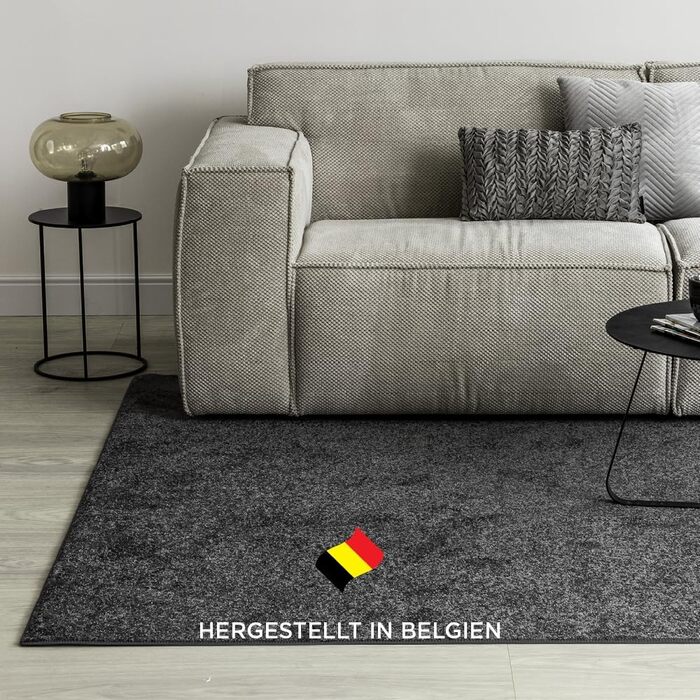 Килим для вітальні та спальні Maine Studio, 140x200 см, короткий ворс, антрацит