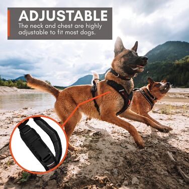 Шлейка для собак Non-Stop Dogwear Rock Harness, розмір M, чорний колір