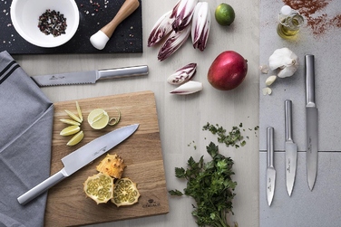 Набір ножів у підставці Gerlach Ambiente Silver, 5 предметів