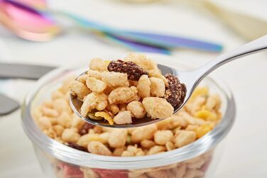 Набір дитячого столового прибору EXZACT Kinderbesteck Set 18-ти частинний з нержавіючої сталі для дітей від 2 років - з гравіюванням, придатний для миття в посудомийній машині (Safari X 18)