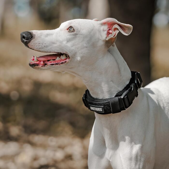 Нашийник для собак OneTigris, тактичний, з ручкою, чорний, S (25-33 см)