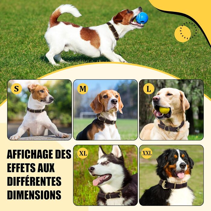 Нашийник для собак з натуральної шкіри, великих порід, XXL - міцний нашийник з латунною застібкою та D-подібним кільцем