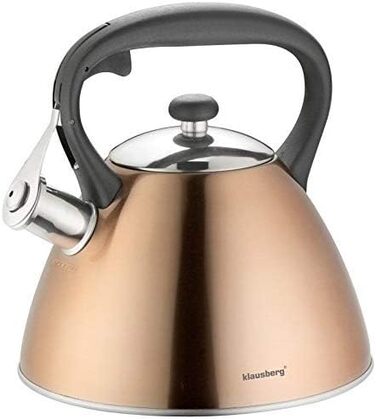 Свисток-чайник з нержавіючої сталі, 3 л, для індукційних, газових та електричних плит (Gold)