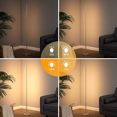 LED торшер Edishine для вітальні, спальні, офісу, 146 см, регулювання яскравості, тепле світло 3000K, з вимикачем на ніжці, срібний (2 шт.)