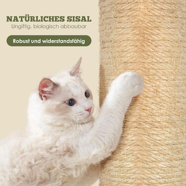 Kratzbaum, 80cm High Scratching Post, Cat Tree, Scratching Trunk for Medium and Small Cats, Natural Sisal Scratching Post with Interactive Plush Ball, Beige (Palm Style Scratching Trunk Round)