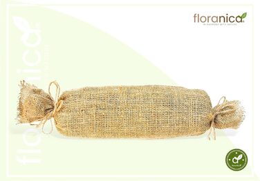 Floranica Climbing Plant Support Rank Grid - Length 150cm, Width 50cm. Made of natural willow, with ecological twine and a jute bag. Ideal support for roses, climbing plants, vegetables, and vines.