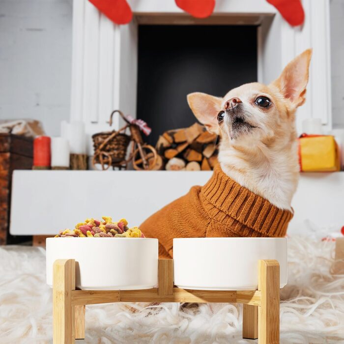 Elevated Dog Bowl Set - Ceramic Double Bowls with Non-Slip Stand - 2 Pack, 850ml Each - Ideal for Small & Medium Dogs
